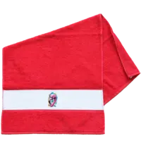 Motiv: Frottier-Handtuch mit Bordüre  - Flamingo Pop-Art 