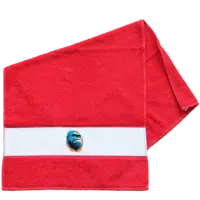 Motiv: Frottier-Handtuch mit Bordüre  - Gorilla Pop-Art 