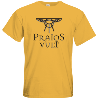 Motiv: T-Shirt Premium FAIR WEAR - Sprüche - Götter - Praios Vult - bestimme auf Wunsch Details wie Produkt, Grösse, Farbe und Position selbst ! Motiv: T-Shirt Premium FAIR WEAR - Sprüche - Götter - Praios Vult