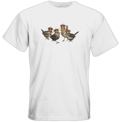 Motiv: T-Shirt Premium FAIR WEAR - Vogelmenschen - Quatuor Coronati - bestimme auf Wunsch Details wie Produkt, Grösse, Farbe und Position selbst ! Motiv: T-Shirt Premium FAIR WEAR - Vogelmenschen - Quatuor Coronati