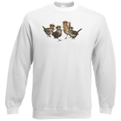 Motiv: Sweatshirt Classic - Vogelmenschen - Quatuor Coronati - bestimme auf Wunsch Details wie Produkt, Grösse, Farbe und Position selbst ! Motiv: Sweatshirt Classic - Vogelmenschen - Quatuor Coronati
