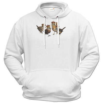 Motiv: Hoodie Premium FAIR WEAR - Vogelmenschen - Quatuor Coronati 