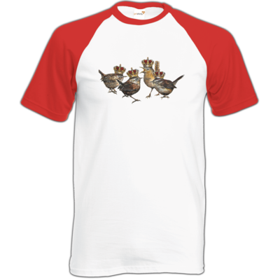 Motiv: Baseball-T FAIR WEAR - Vogelmenschen - Quatuor Coronati - bestimme auf Wunsch Details wie Produkt, Grösse, Farbe und Position selbst ! Motiv: Baseball-T FAIR WEAR - Vogelmenschen - Quatuor Coronati