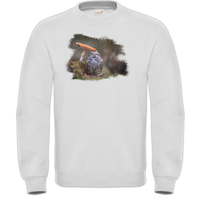 Motiv: Sweatshirt FAIR WEAR - Poldi Pilz - bestimme auf Wunsch Details wie Produkt, Grösse, Farbe und Position selbst ! Motiv: Sweatshirt FAIR WEAR - Poldi Pilz