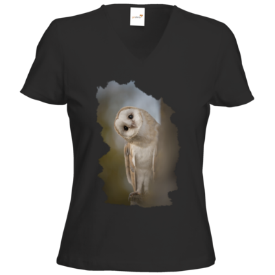 Motiv: T-Shirts Damen V-Neck FAIR WEAR - Lusi-Lu - bestimme auf Wunsch Details wie Produkt, Grösse, Farbe und Position selbst ! Motiv: T-Shirts Damen V-Neck FAIR WEAR - Lusi-Lu
