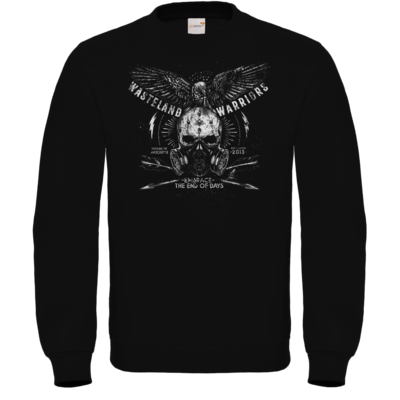Motiv: Sweatshirt FAIR WEAR - Star Spangled - bestimme auf Wunsch Details wie Produkt, Grösse, Farbe und Position selbst ! Motiv: Sweatshirt FAIR WEAR - Star Spangled