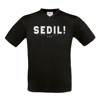 Motiv: T-Shirt V-Neck FAIR WEAR - Sedil! - bestimme auf Wunsch Details wie Produkt, Grösse, Farbe und Position selbst ! Motiv: T-Shirt V-Neck FAIR WEAR - Sedil!