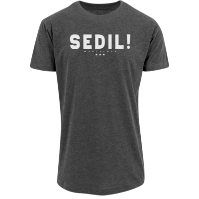Motiv: Shaped Long Tee - Sedil! - bestimme auf Wunsch Details wie Produkt, Grösse, Farbe und Position selbst ! Motiv: Shaped Long Tee - Sedil!