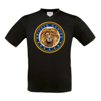 Motiv: T-Shirt V-Neck FAIR WEAR - PrivateGaming - bestimme auf Wunsch Details wie Produkt, Grösse, Farbe und Position selbst ! Motiv: T-Shirt V-Neck FAIR WEAR - PrivateGaming