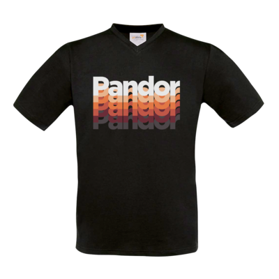 Motiv: T-Shirt V-Neck FAIR WEAR - Pandor Schriftzug20 - bestimme auf Wunsch Details wie Produkt, Grösse, Farbe und Position selbst ! Motiv: T-Shirt V-Neck FAIR WEAR - Pandor Schriftzug20
