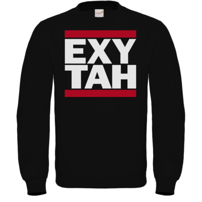Motiv: Sweatshirt FAIR WEAR - ExyTah - bestimme auf Wunsch Details wie Produkt, Grösse, Farbe und Position selbst ! Motiv: Sweatshirt FAIR WEAR - ExyTah