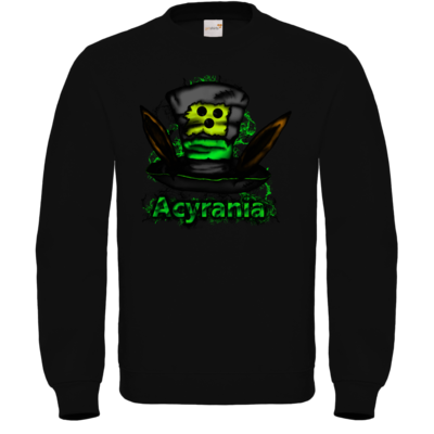 Motiv: Sweatshirt FAIR WEAR - bestimme auf Wunsch Details wie Produkt, Grösse, Farbe und Position selbst ! Motiv: Sweatshirt FAIR WEAR