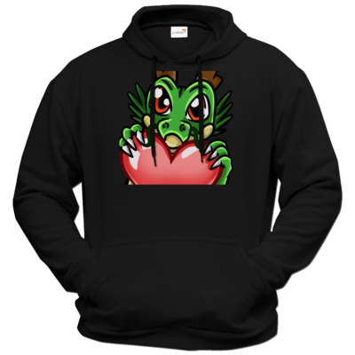 Motiv: Hoodie Premium FAIR WEAR - bestimme auf Wunsch Details wie Produkt, Grösse, Farbe und Position selbst ! Motiv: Hoodie Premium FAIR WEAR
