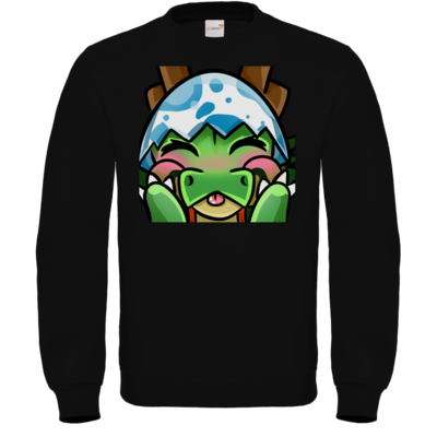 Motiv: Sweatshirt FAIR WEAR - bestimme auf Wunsch Details wie Produkt, Grösse, Farbe und Position selbst ! Motiv: Sweatshirt FAIR WEAR