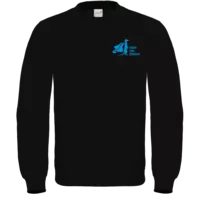 Motiv: Sweatshirt FAIR WEAR - Held der Steine - hellblau - bestimme auf Wunsch Details wie Produkt, Grösse, Farbe und Position selbst ! Motiv: Sweatshirt FAIR WEAR - Held der Steine - hellblau