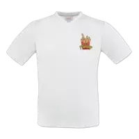 Motiv: T-Shirt V-Neck FAIR WEAR - Frieday - bestimme auf Wunsch Details wie Produkt, Grösse, Farbe und Position selbst ! Motiv: T-Shirt V-Neck FAIR WEAR - Frieday