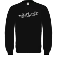 Motiv: Sweatshirt FAIR WEAR - Geilo 