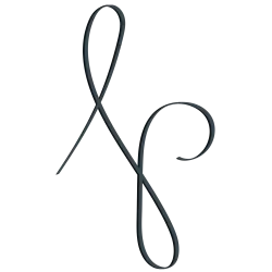 Shoplogo - Northpolyptica | Onlineshop – Northpolyptica Merchandise