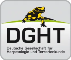 Shoplogo - DGHT-Shop – DGHT-Shop