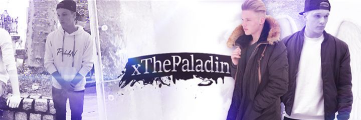 xThePaladin xThePaladin