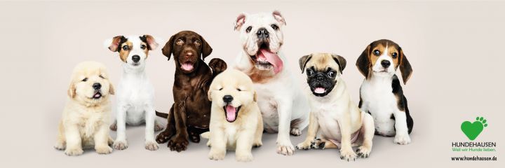 Weil wir Hunde lieben. <3 Weil wir Hunde lieben. <3
